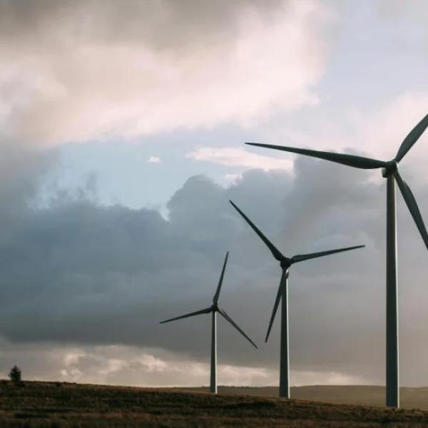Enhancing Sustainability for a Green Tech Startup